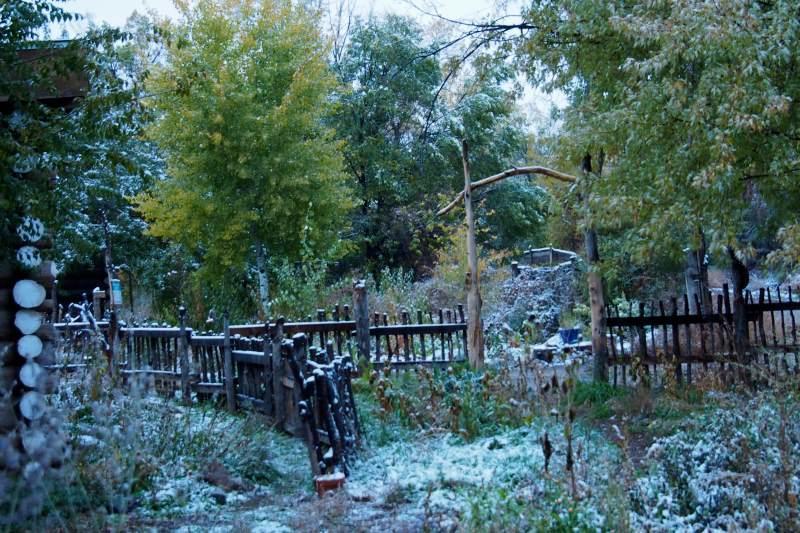 Taos Goji Farm & Eco-Lodge Retreat Arroyo Seco Exterior foto